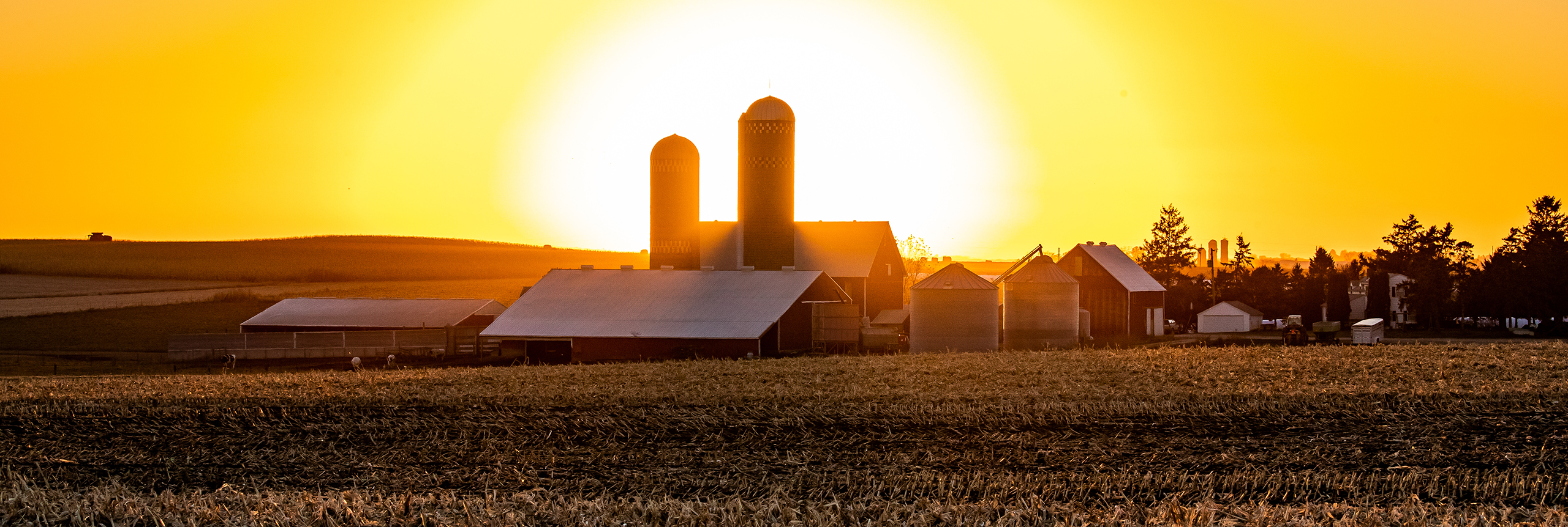 Farm at sunset