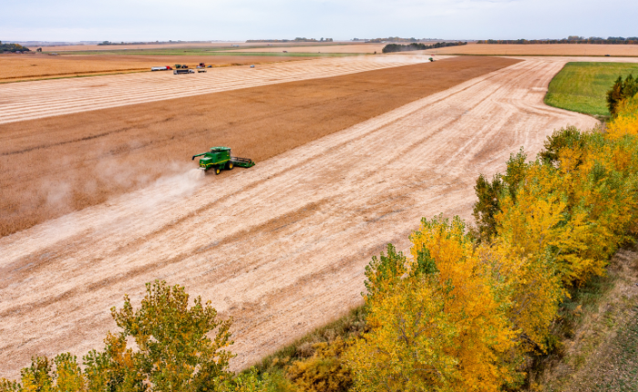Combine harvesting in a fall field.