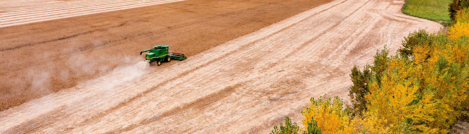Combine harvesting a field.