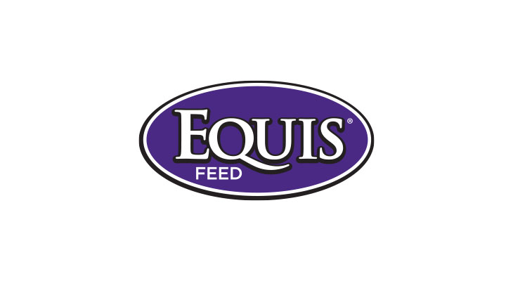 Equis Feed